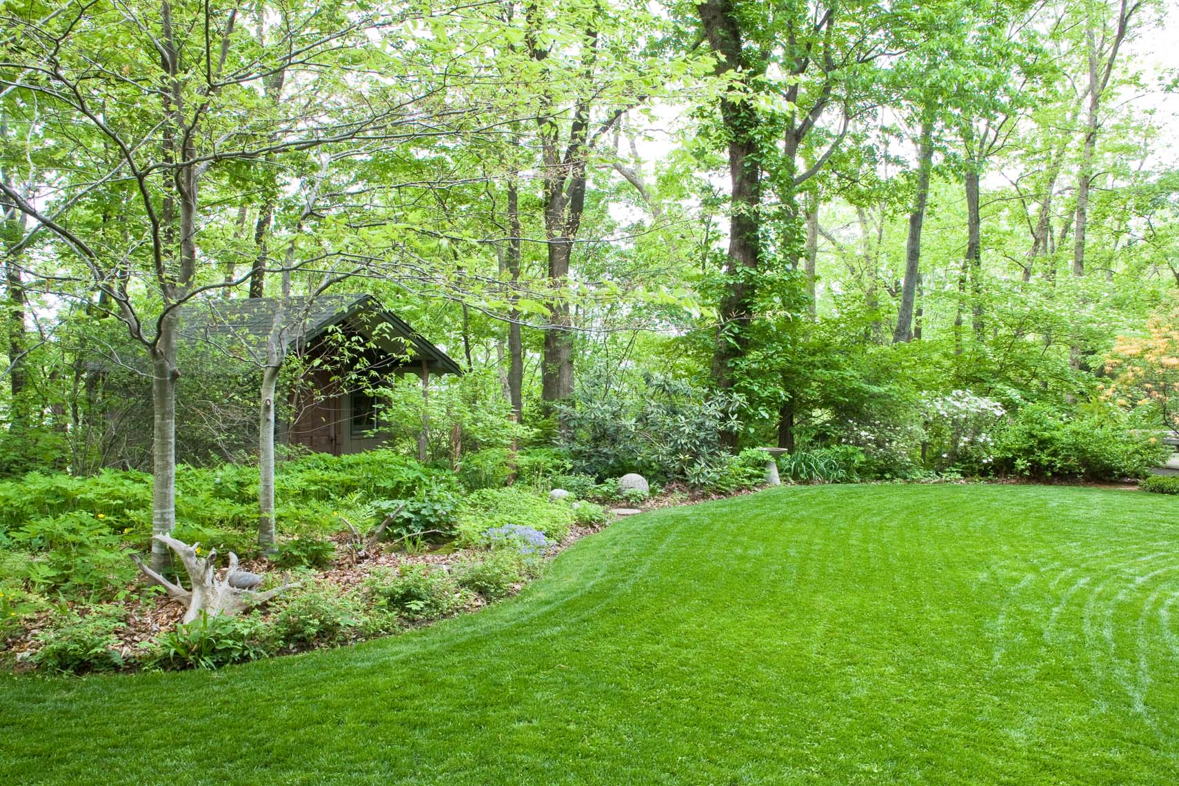 Native_Garden_5703.jpg